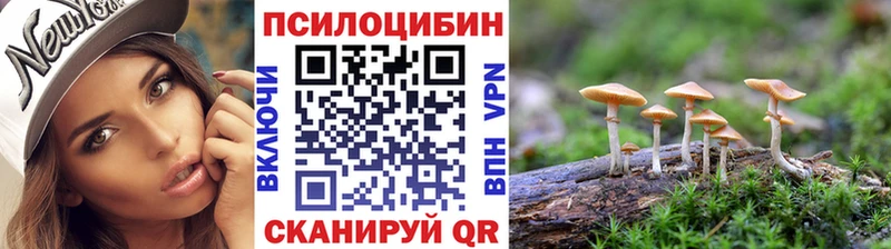 Купить закладки  Волгореченск  Галлюциногенные грибы Magic Shrooms 